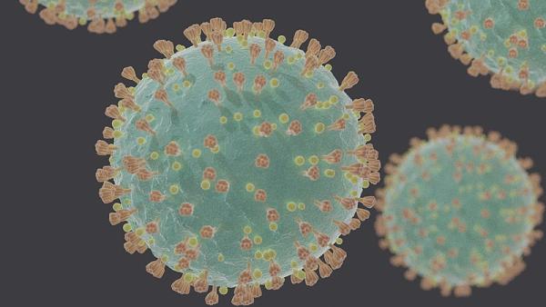 Coronavirus SARS-CoV-2 - Foto wikimedia
