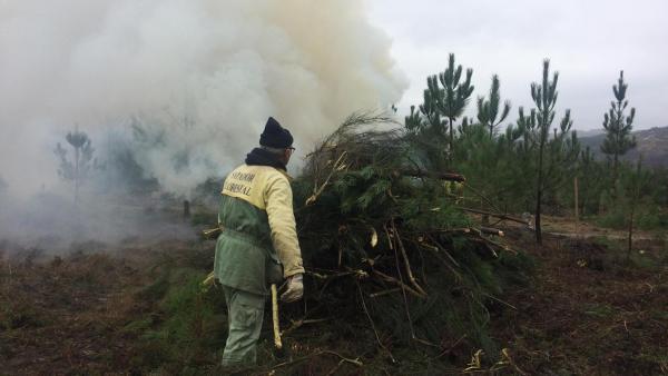 Sapador florestal. Imagem da Arbórea/Facebook.