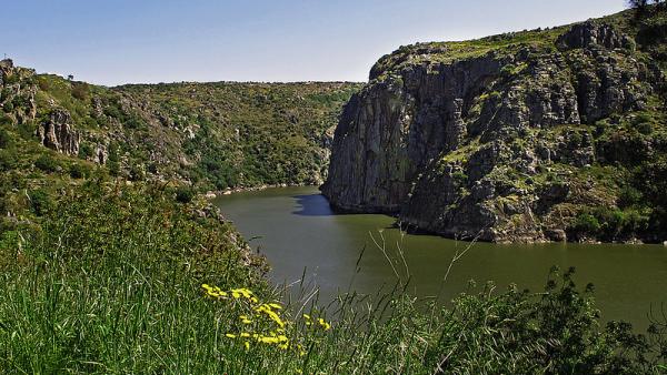 Parque Natural do Douro Internacional