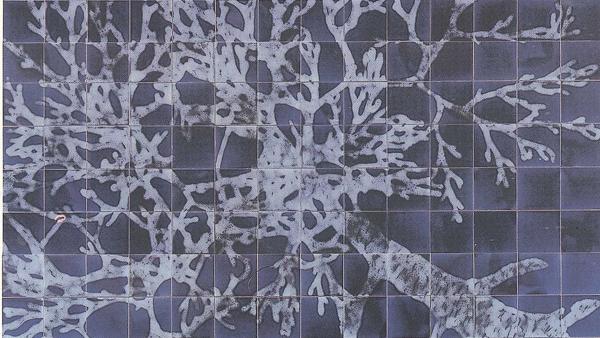 "A Sombra" de Fernanda Fragateiro