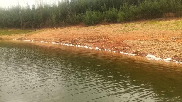 Manchas de espuma na barragem da Aguieira.