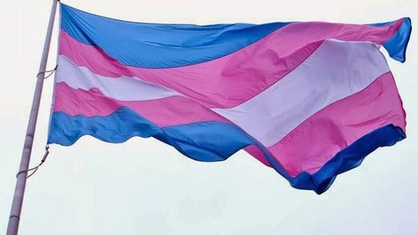 Bandeira Trans – Foto de https://esquerdaonline.com.br/
