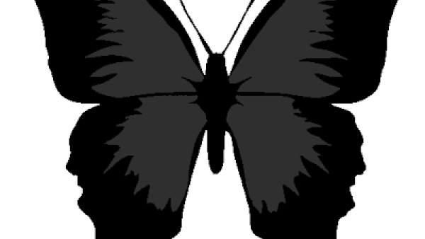 Borboleta