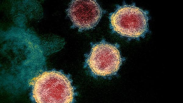 A pandemia covid-19, impôs-nos, de forma abrupta e inesperada, vivências diferentes daquelas que tínhamos antes e submeteu-nos a um constante lidar com a incerteza e com a dúvida