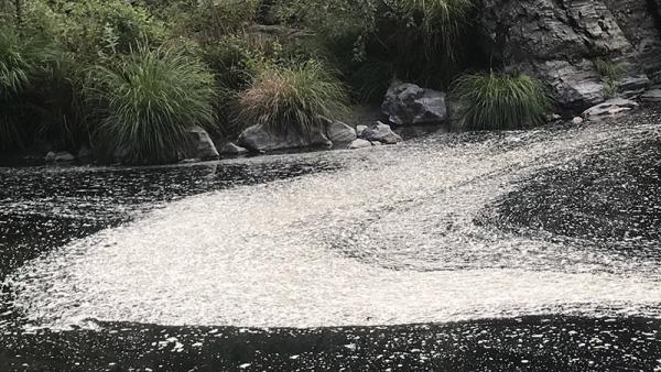 Descargas poluentes no Rio Paiva (Castro Daire) em agosto de 2020. 