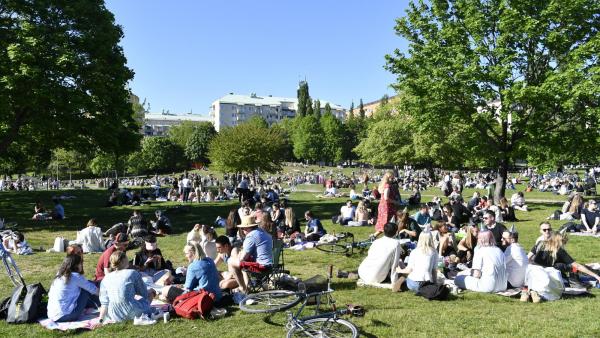 Cidadãos suecos num parque de Estocolmo a 30 de maio. Foto de HENRIK MONTGOMERY/EPA/Lusa.