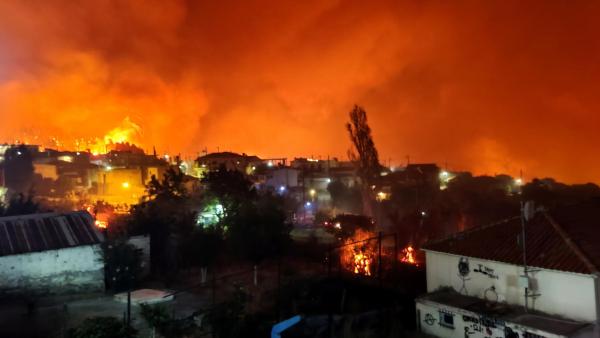 Skepasti na ilha de Evia. Foto de PANAGIOTIS KOUROS/EPA/Lusa.