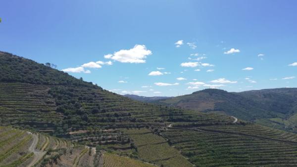 Alto Douro Vinhateiro
