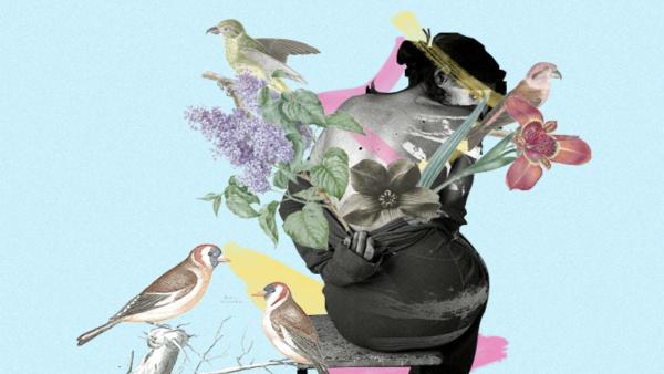 Ecofeminismo.Ilustração do site Carta Capital.