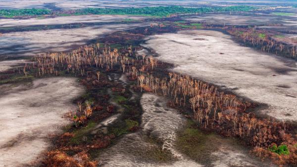 Queimada no Amazonas. Foto de Vinícius Mendonça/Ibama.