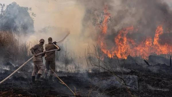 Incêndios no Pantanal expõem ineficiência da política ambiental brasileira