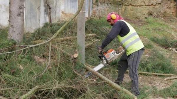 Bloco de Esquerda apresenta projeto para capacitar autarquias na prevenção de incêndios – Foto leiria.bloco.org