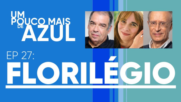 Um pouco mais de azul