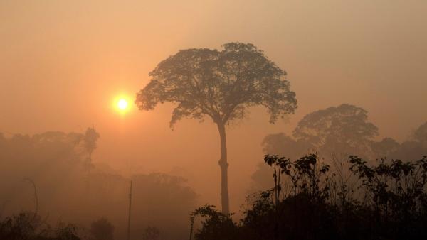 Fumo dos incêndios da Amazónia obscurece o sol perto de Porto Velho, Rondónia, Brasil. Foto de Joedson Alves, Lusa/EPA