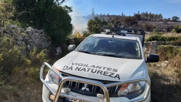 Vigilantes da Natureza. Foto do Interior do Avesso.