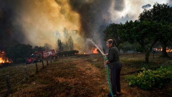 Uma mulher molha o terreno na aldeira do Lavradio durante um incêndio florestal, no concelho de Ourém. Este incêndio começou há uma semana, a 7 de julho de 2022. Foto de Nuno André Ferreira/ Lusa, de 13 de julho de 2022