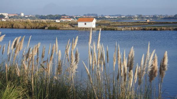Ria de Aveiro. Foto de FF Mira/Flickr.
