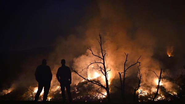 Incêndio na Serra da Estrela. Foto de NUNO ANDRÉ FERREIRA/LUSA.