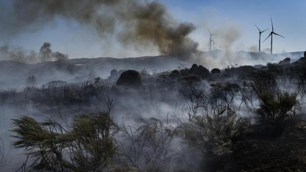 Incêndio na freguesia de Rapa, Celorico da Beira, Guarda, 13 de agosto de 2022. Foto de NUNO ANDRÉ FERREIRA/LUSA.