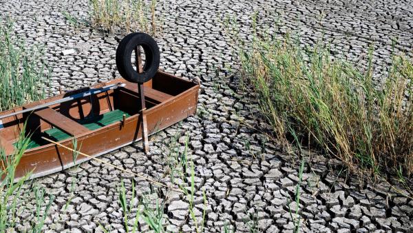 Seca faz com que o Lago Velencei na Hungria atinja o mínimo histórico. Foto de Velencei/EPA/Lusa.