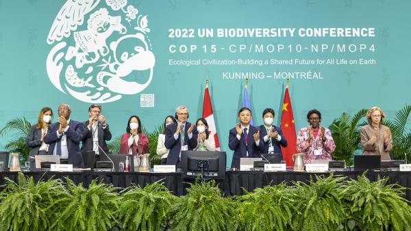 Adopção dos acordos de Kunming-Montreal. Foto de UN Biodiversity/Flickr.