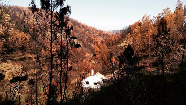 Incêndios de outubro de 2017