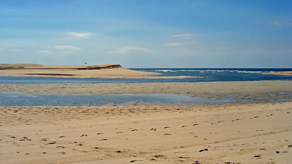 Lagoa de Santo André, Reserva Natural das Lagoas de Santo André e da Sancha, 2007 – Foto de Xuaxo, CC BY-SA 3.0, disponível em pt.wikipedia.org