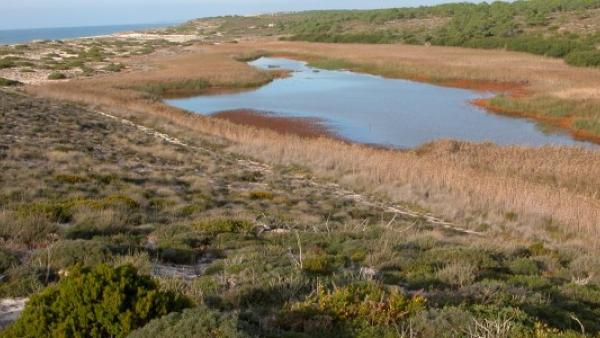 Laguna Sancha, Reserva Natural das Lagoas de Santo André e da Sancha – foto zero.ong