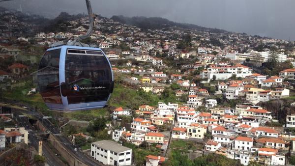Funchal, região autónoma da Madeira. Via Flickr de Daniela Goulart: https://www.flickr.com/photos/asleeponasunbeam/
