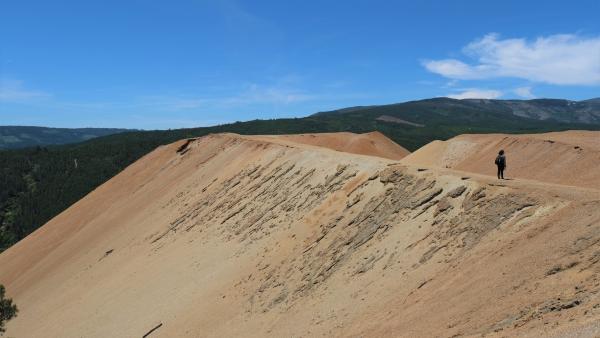 O diploma foi duramente contestado por movimentos ambientalistas, que consideram que coloca em risco interesses ambientais e das populações. Foto de Paula Nunes.