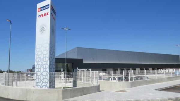 molaflex