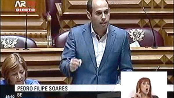 O que acontece nos canis de abate é carnificina