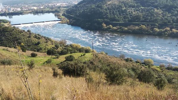 Poluição em Abrantes – Foto de Armindo Silveira (página no facebook)