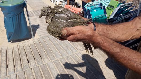Descarga poluente na praia de São Pedro de Moel.