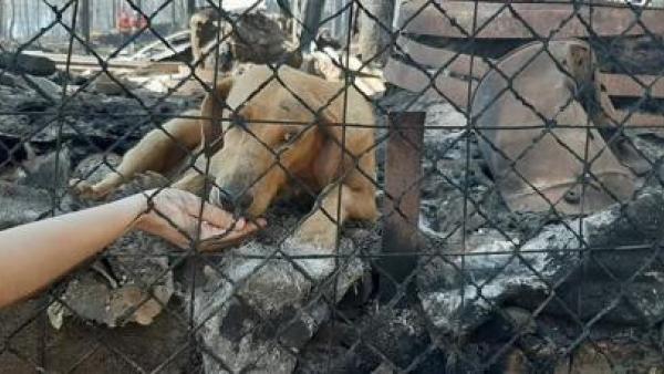 Foto divulgada na página de Facebook de Um activismo por dia.