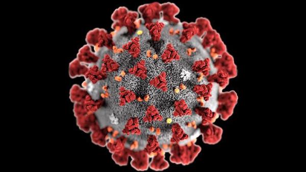 Diabetologistas assinalam a necessidade de “uma estratégia global para as principais doenças crónicas nas várias frentes”, no combate à covid-19