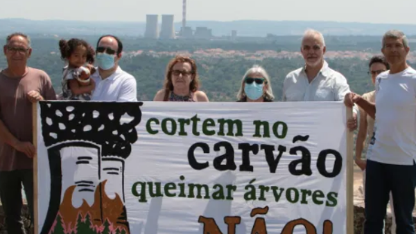 Ambientalistas em protesto contra a queima de árvores. Foto da Associação Ambientalista Zero.