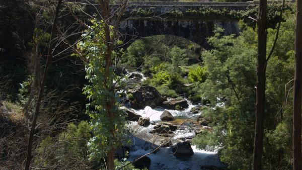 A Serra d'Arga seria uma das afetadas pelas explorações de lítio. 