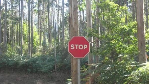 “Stop eucaliptos” -Foto Miguel Edreira Castro/Flickr