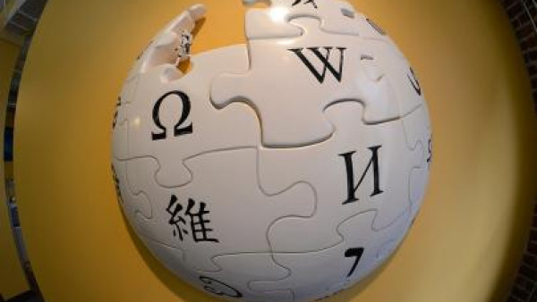 A Wikipedia permite que sejam consultadas as estatísticas de uso de cada entrada, atualizando-as diariamente, o que oferece uma infinidade de dados aos pesquisadores que queiram usá-los.