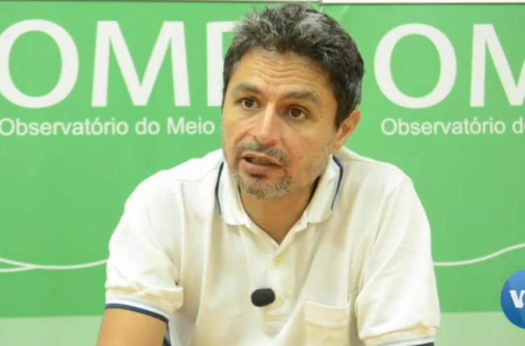 João Feijó