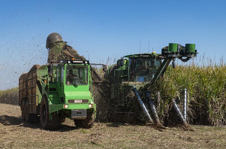 Máquina a fazer colheita na cana de açúcar. Austrália, 2020. Foto de  Steven Penton.