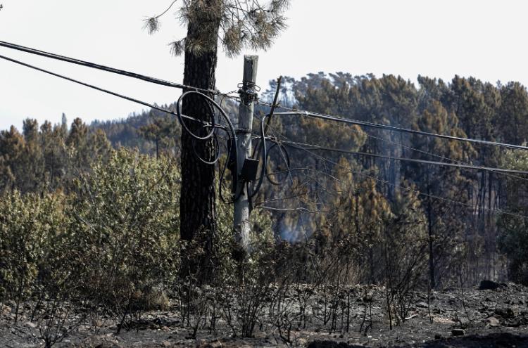 Poste de eletricidade destruído pelo incêndio florestal que devastou os concelhos de Vila de Rei e Mação, Roda, Mação, 24 de julho de 2019 – Foto Paulo Novais/Lusa
