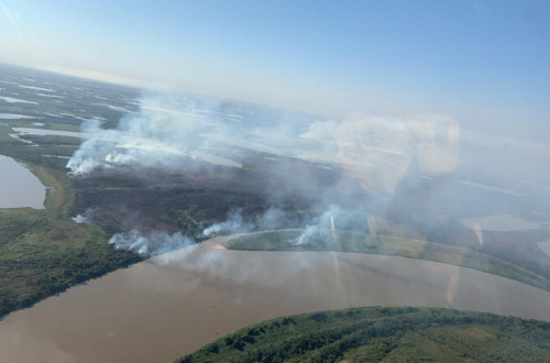 Fogo no Pantanal. Agosto de 2020. Foto: Instituto Homem Pantaneiro/Facebook.