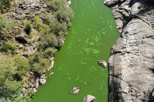 Rio Tua. Fotos da página de Facebook Abreiro Trás-os-Montes.