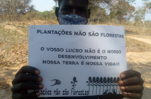 Cartaz contra as plantações. Foto de Justiça Ambiental/Facebook.