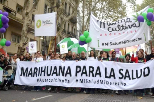 Marcha pela regulamentação do autocultivo da canábis para fins medicinais.