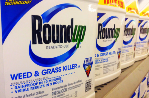 Embalagens de Roundup, um popular herbicida, comercializado pela Monsanto.