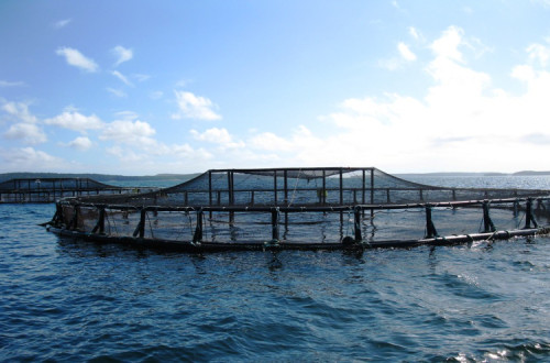 Rede de Aquacultura. Foto de National Ocean Service/Flickr.