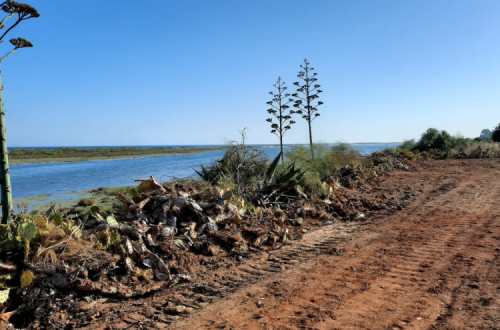 Destruição no Parque Natural da Ria Formosa – Foto de Tavira em Transição, no facebook
